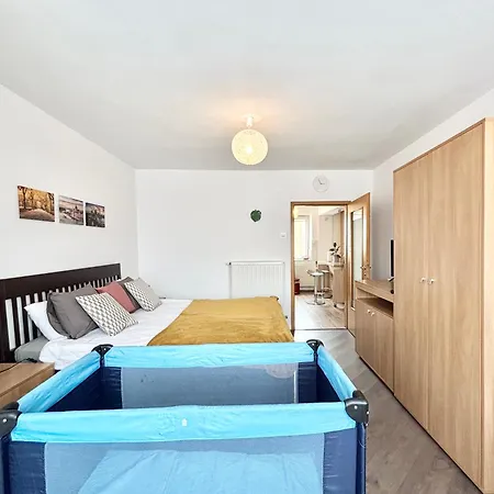 Ospitalier Piata Operei - 5 Spacious Apartments In City Center Daire Temeşvar