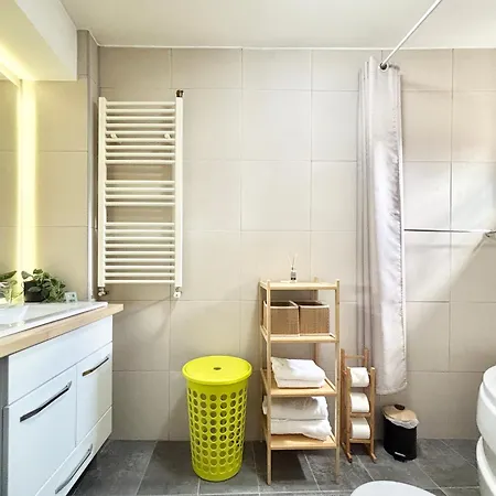 Ospitalier Piata Operei - 5 Spacious Apartments In City Center Temeşvar
