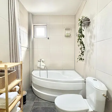 Apartment Ospitalier Piata Operei - 5 Spacious Apartments In City Center