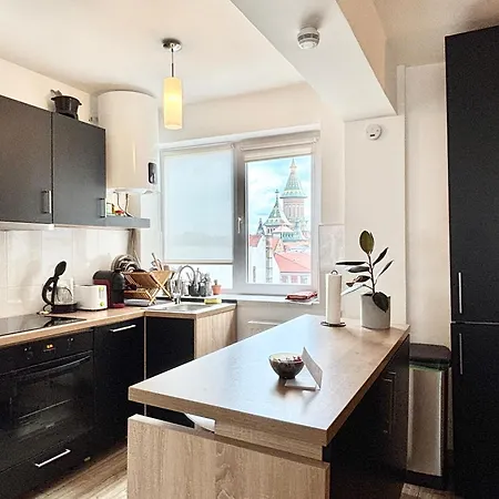 Ospitalier Piata Operei - 5 Spacious Apartments In City Center * Temeşvar