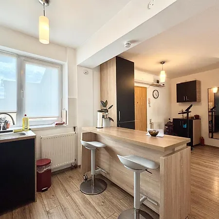 Apartment Ospitalier Piata Operei - 5 Spacious Apartments In City Center Timisoara