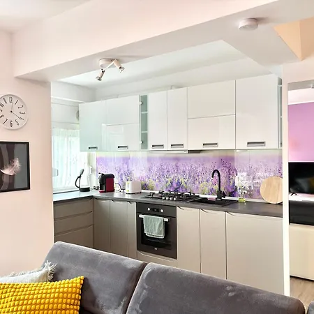 Ospitalier Piata Operei - 5 Spacious Apartments In City Center Daire *