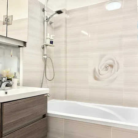 Apartment Ospitalier Piata Operei - 5 Spacious Apartments In City Center Timisoara