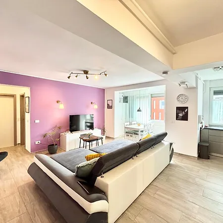 Ospitalier Piata Operei - 5 Spacious Apartments In City Center Apartment Timisoara
