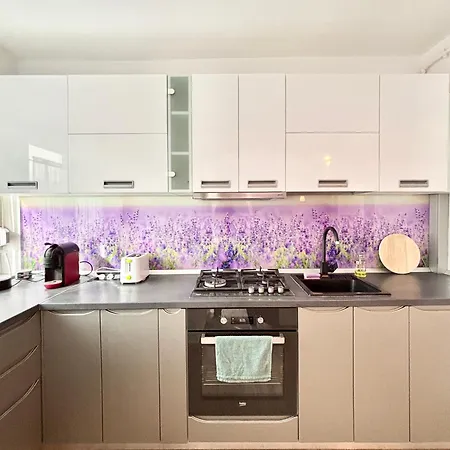 Apartman Ospitalier Piata Operei Temesvár