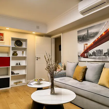 Apartment Ospitalier Piata Operei - 5 Spacious Apartments In City Center Timisoara