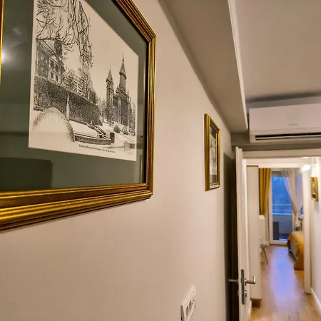 Ospitalier Piata Operei - 5 Spacious Apartments In City Center Apartment Timisoara