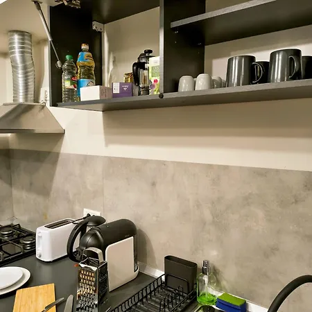Ospitalier Piata Operei - 5 Spacious Apartments In City Center Temeşvar
