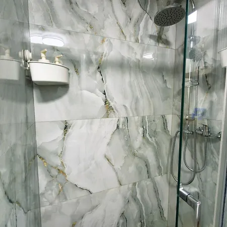 Apartment Ospitalier Piata Operei - 5 Spacious Apartments In City Center Timisoara