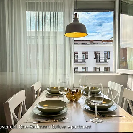 Ospitalier Piata Operei - 5 Spacious In Center Apartament *