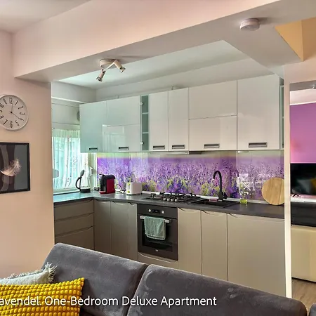Apartament Ospitalier Piata Operei - 5 Spacious In Center *