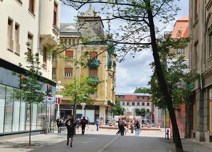 Ospitalier Piata Operei - Sunrise - Golden - Lavendel * Timisoara