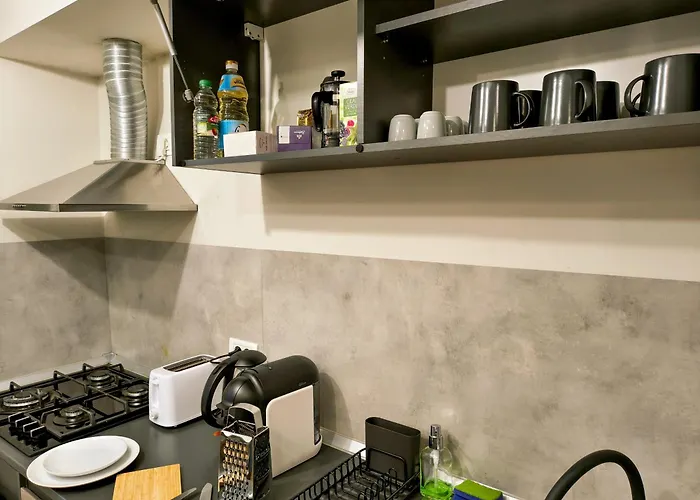 Ospitalier Piata Operei - Sunrise - Golden - Lavendel Timisoara